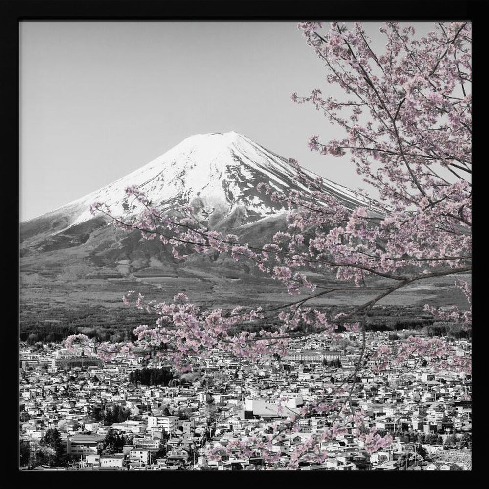 Charming view of Mount Fuji during cherry blossom season - colorkey Poster