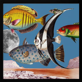 Fish World Blue - Digital Collage Poster