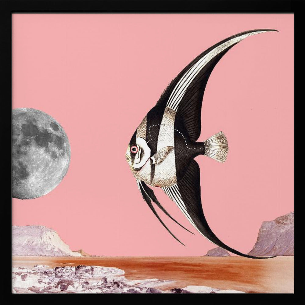 Plenty of Fish In the Sea Pink - Surreal Collage Poster