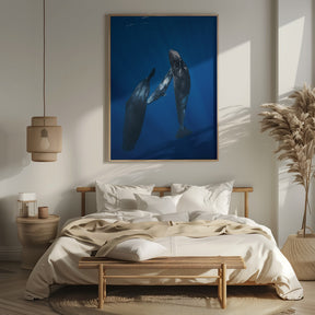 Sperm whale family Poster