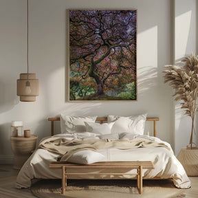 Japanese Maple Tree Poster