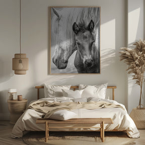 The Foal Poster