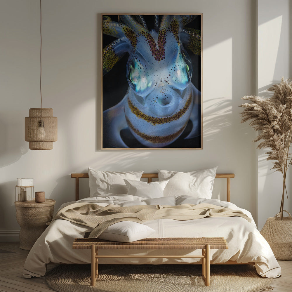 Squid close up Poster