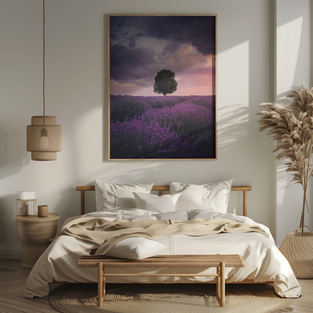 Lavender Fields, Isparta Poster