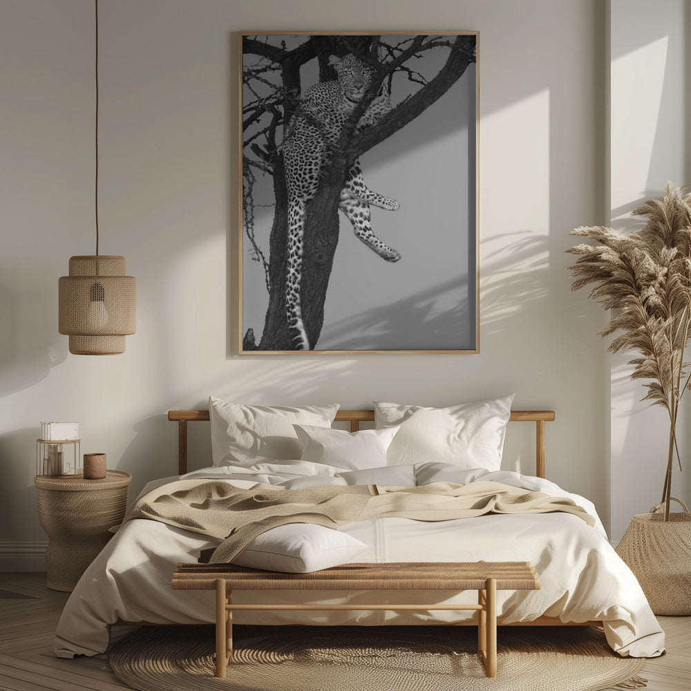 Rest On The Tree Poster