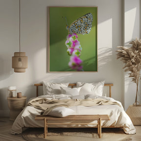 Butterfly at the tip Poster