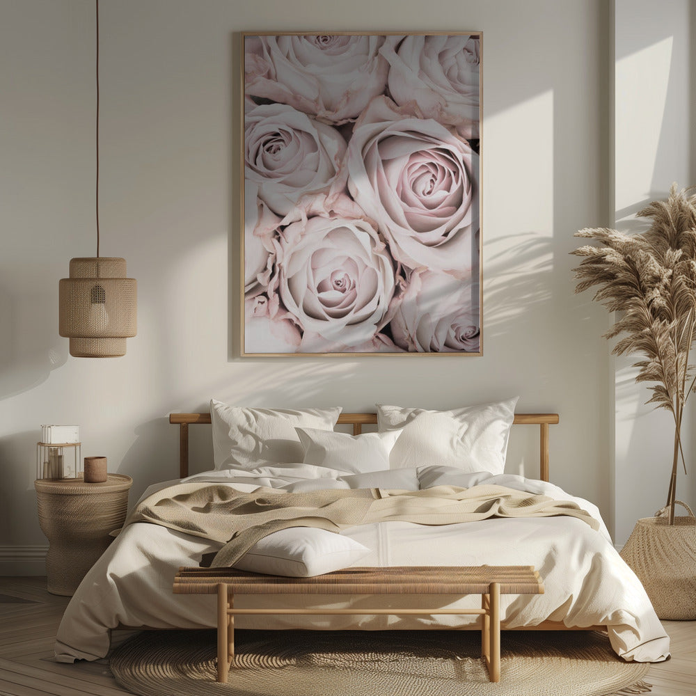 Pink Roses No 01 Poster