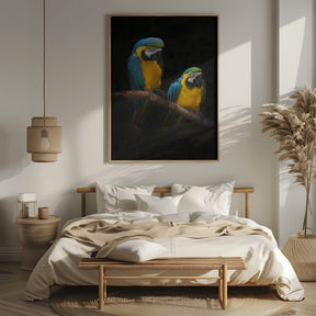 Macaw Parrots Poster