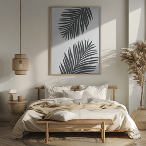 Palm Leaf Gray 01 Poster