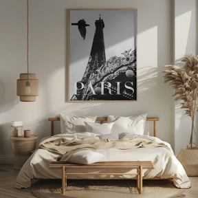 Paris Dove Poster