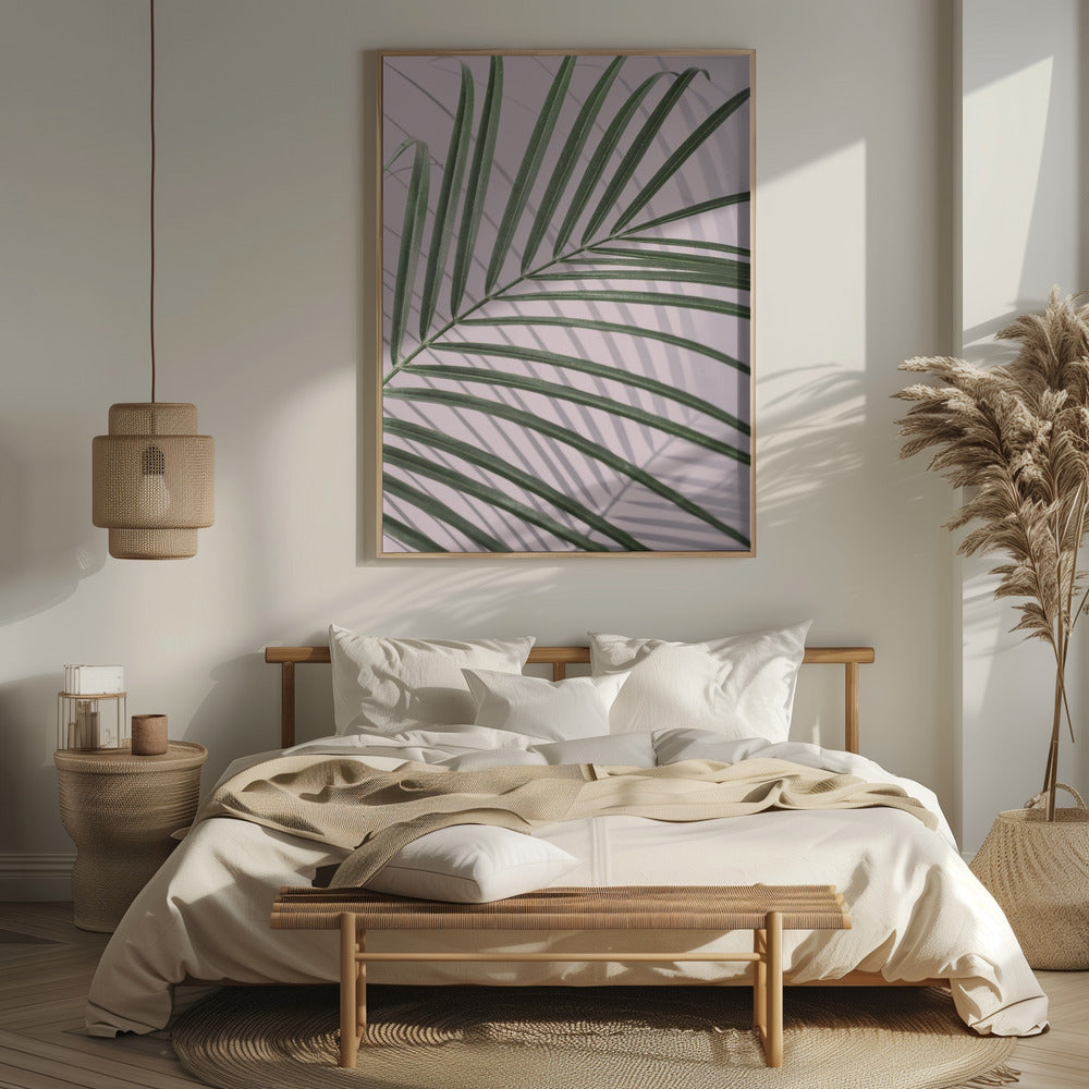 Palm Leaf Shadow Poster