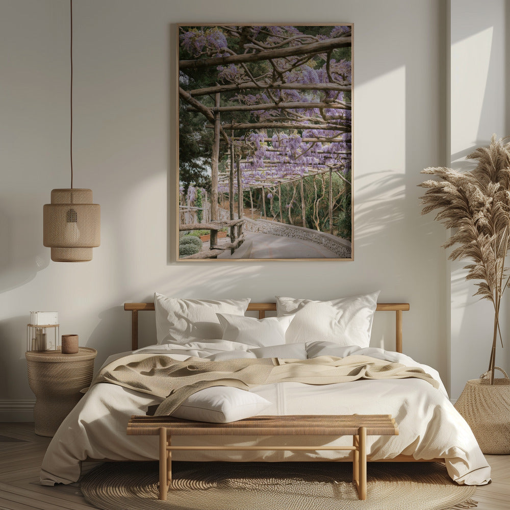 The Lavender Walkway Poster