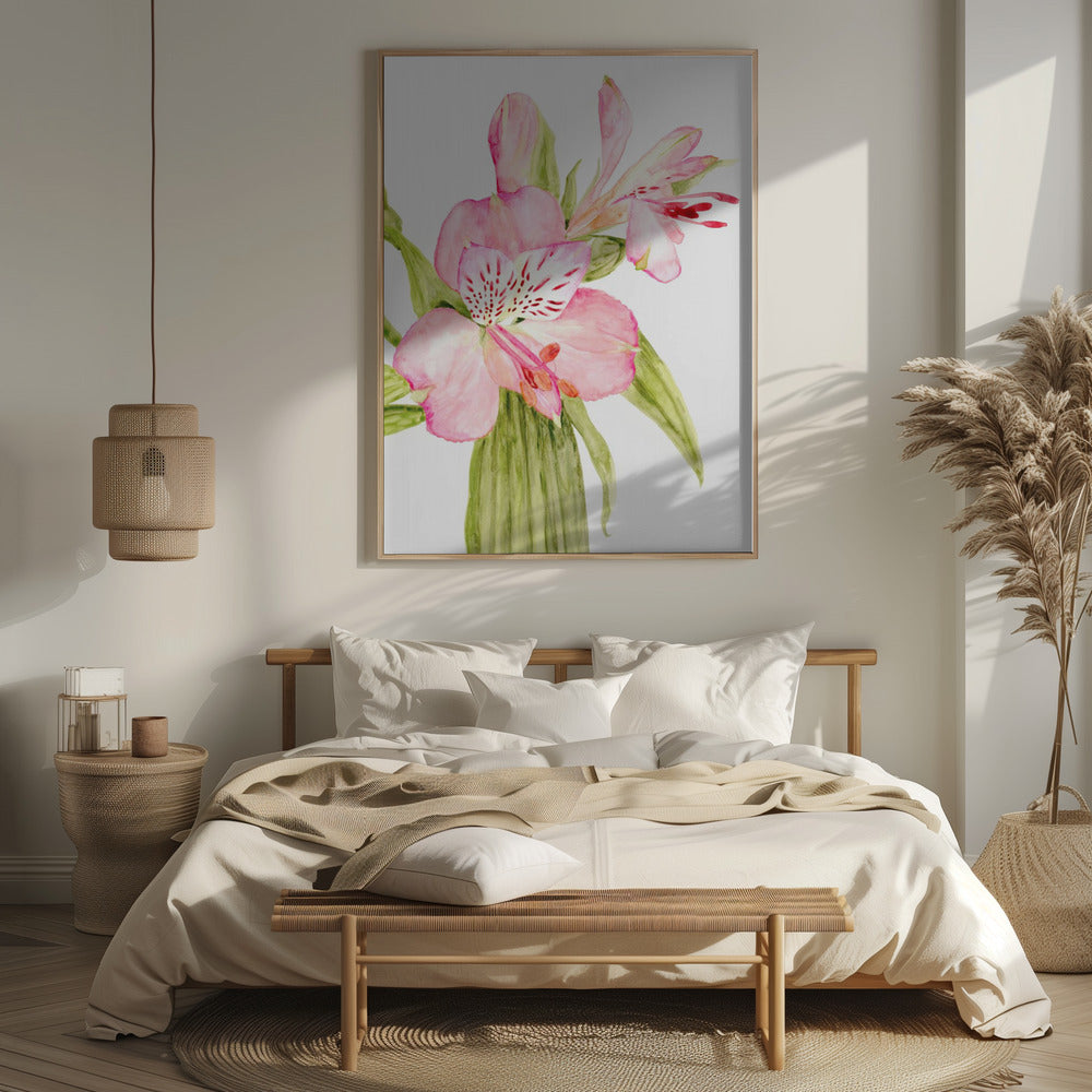 Pink watercolor alstroemeria Poster