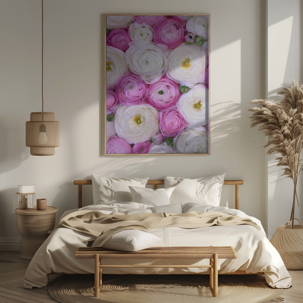 Scattered ranunculus in pink I Poster