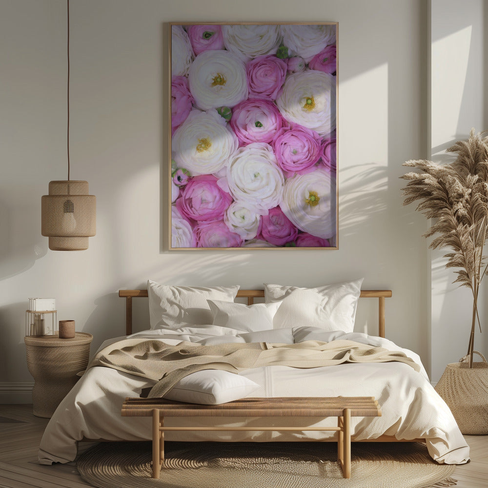 Scattered ranunculus in pink II Poster