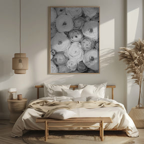 Scattered ranunculus grayscale I Poster