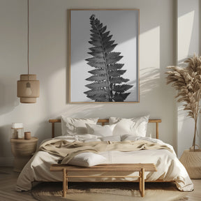 Gray fern leaf Poster