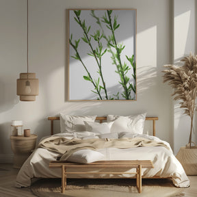 Green dainty branch Poster