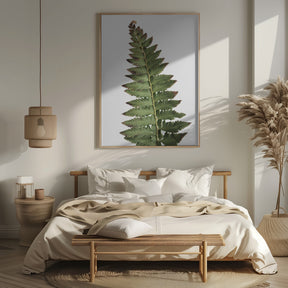 Green fern Poster