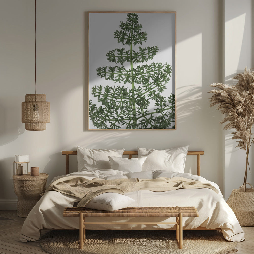 Green dainty leaves Poster