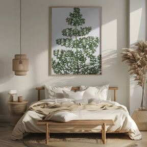 Green dainty leaves Poster