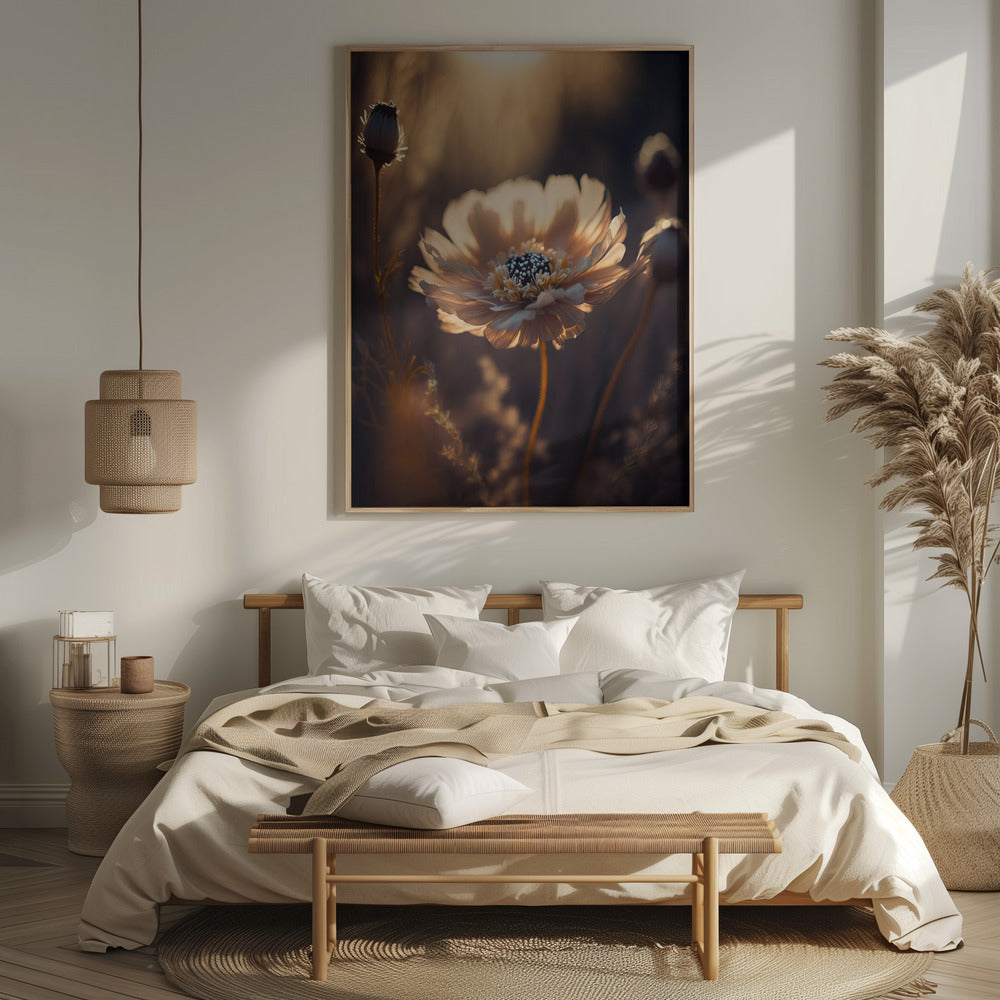 Flower in Morning Sun Poster