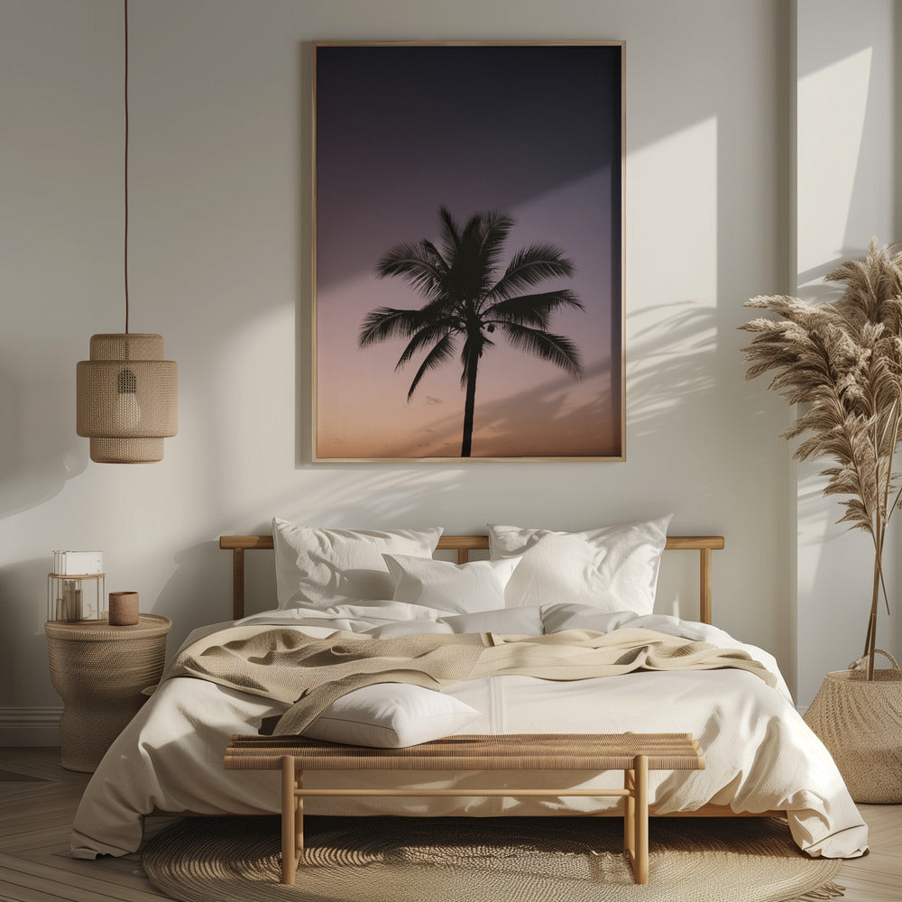 Costa Rica Palm Tree Poster