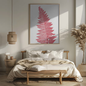 Pink fern leaf Poster