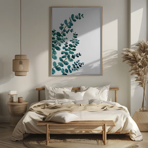 Teal watercolor eucalyptus II Poster