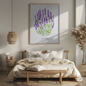 Lavender I Poster