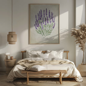 Lavender vintage Poster