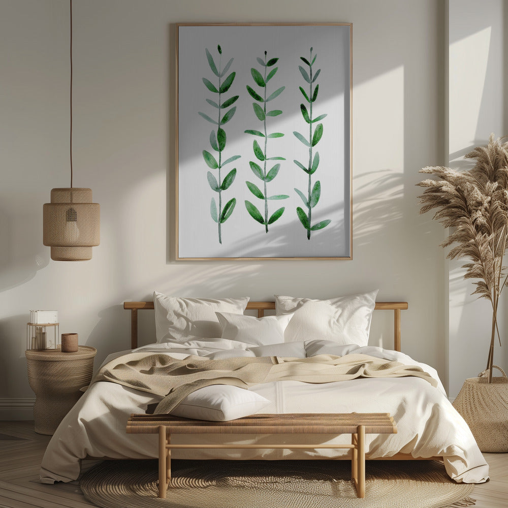 Watercolor eucalyptus parvifolia Poster