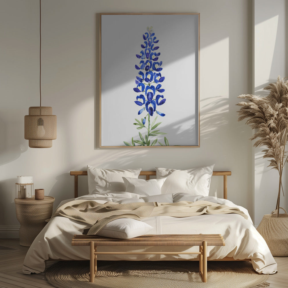 Watercolor Texas bluebonnet Poster