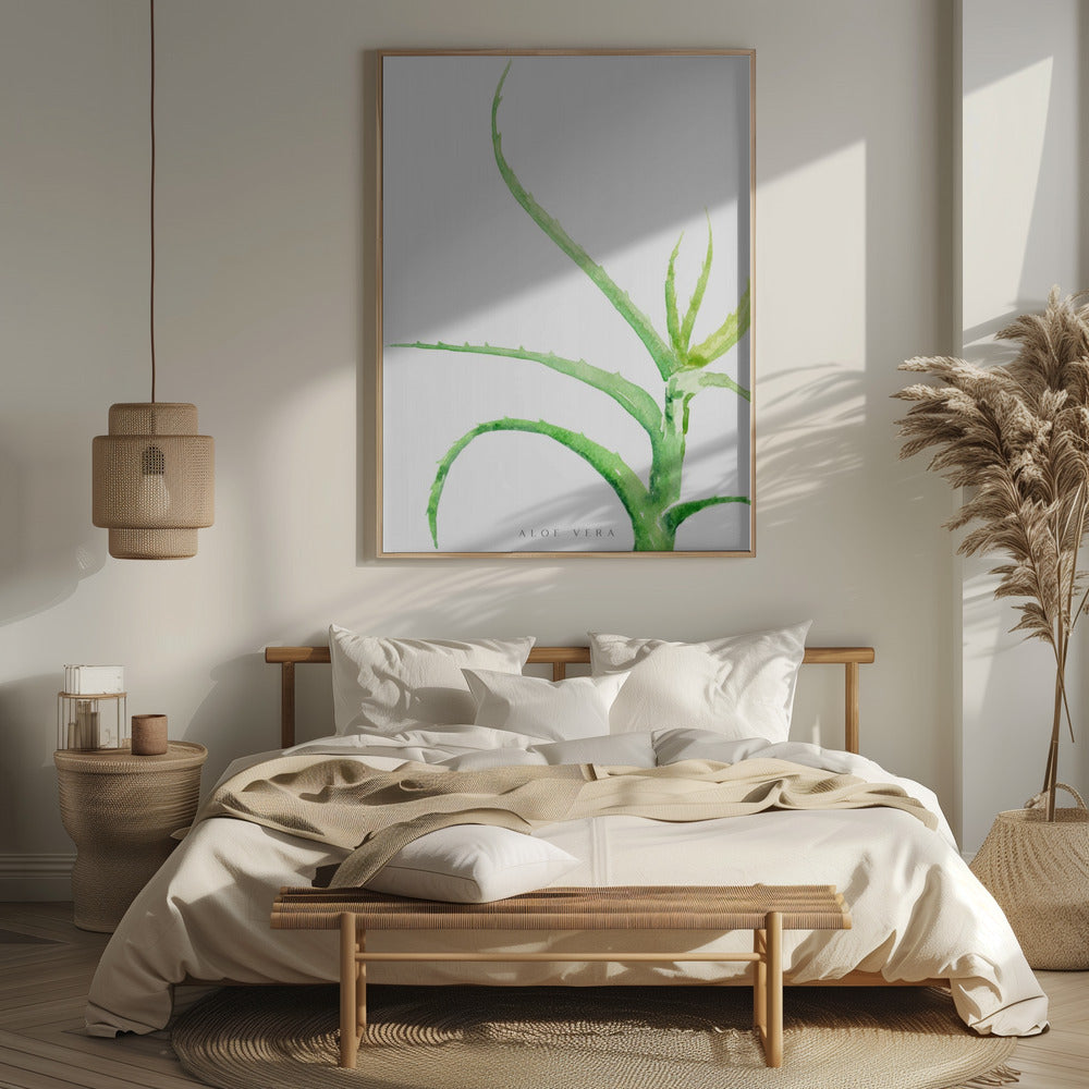 Watercolor aloe vera Poster