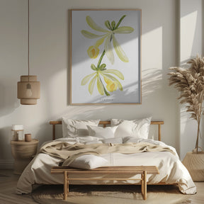 Watercolor vanilla orchid Poster