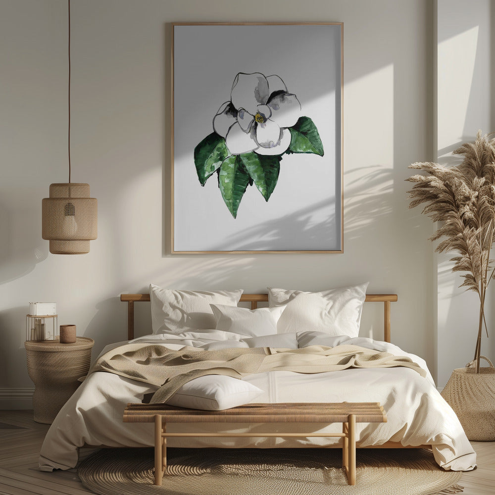 White magnolia Poster