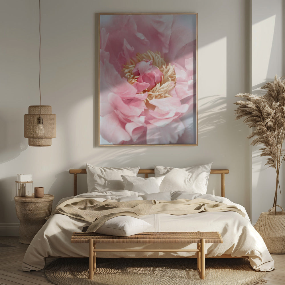 Blush peony I Poster