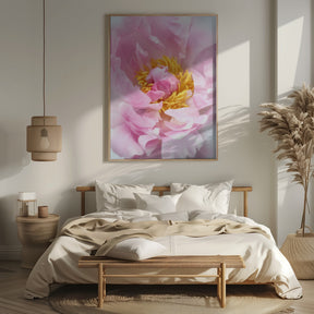 Pink peony I Poster