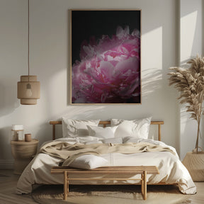 Moody pink peony I Poster