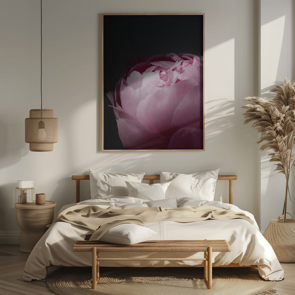 Moody pink peony II Poster