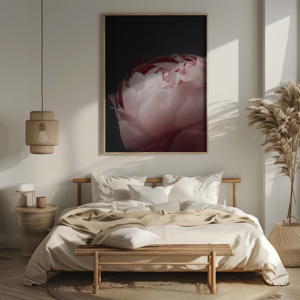 Moody blush peony II Poster