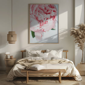 Blush peony VII Poster