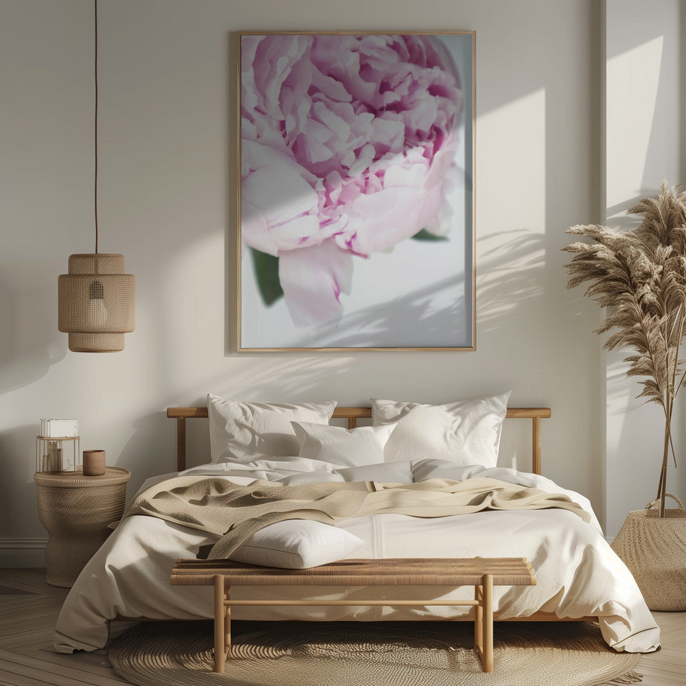 Subdued peony VII Poster