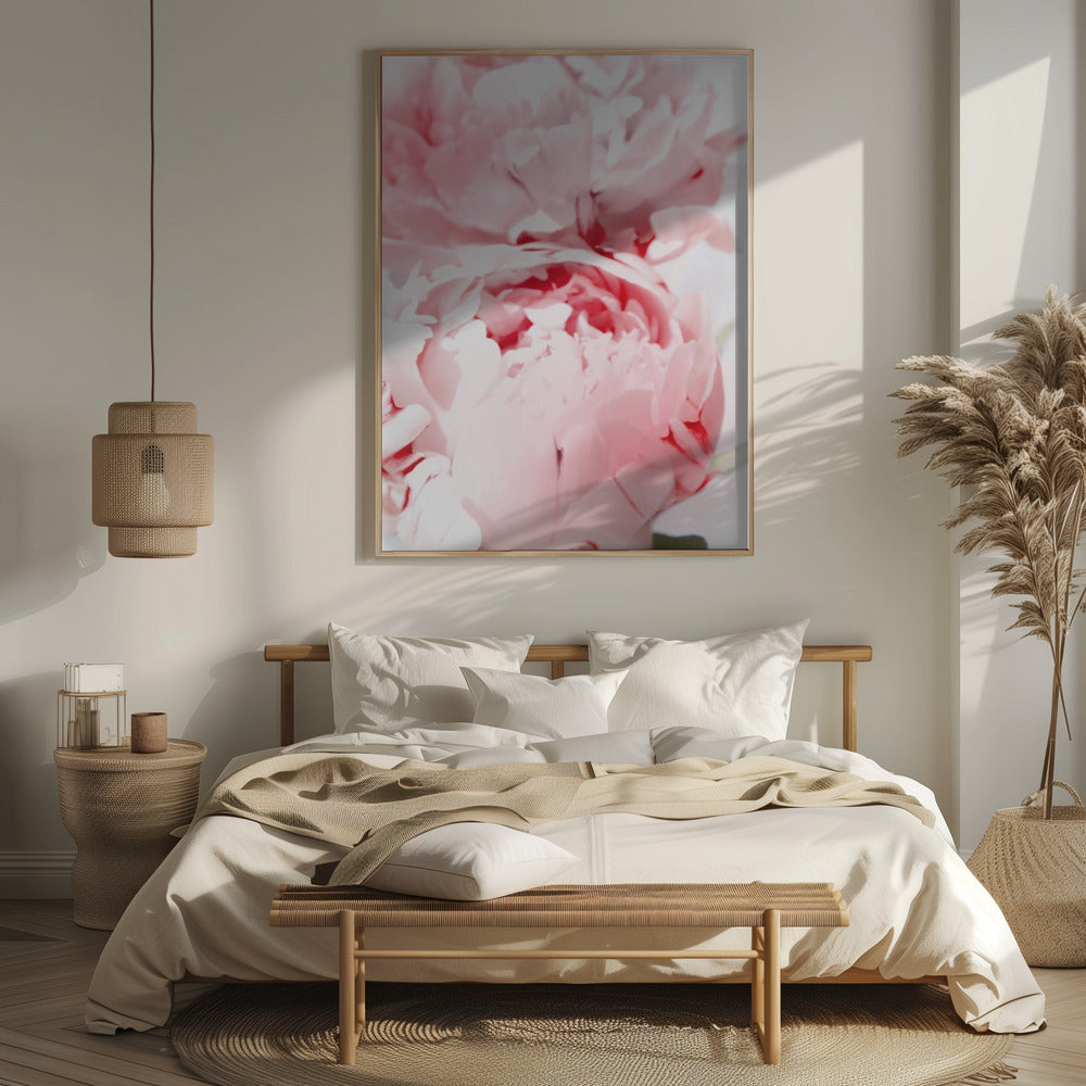 Bllush peony X Poster