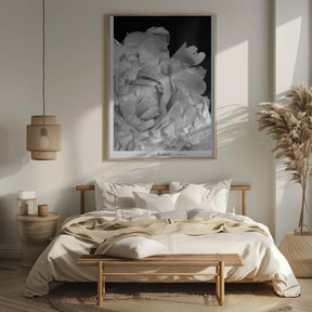 Enjoy the little things peony BW Poster