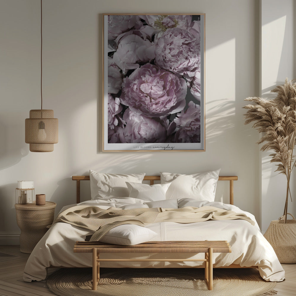 Life blooms everyday peonies Poster