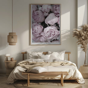 Smile and dream peonies Poster