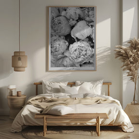 Smile and dream peonies BW Poster