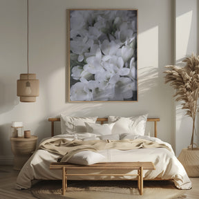 Distressed freesias IV Poster