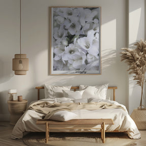 Distressed freesias II Poster